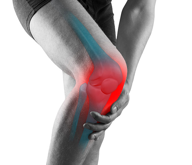 Specialist Knee clinic