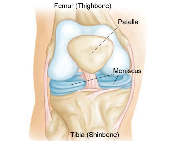 Knee at GB Clinics