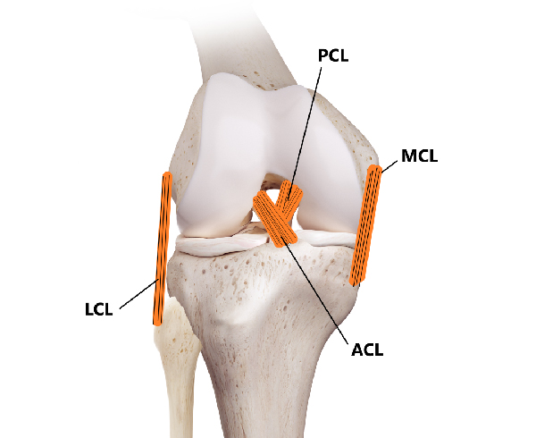 Knee at GB Clinics